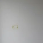 peinture anti-humidité et moisissures