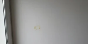 peinture anti-humidité et moisissures