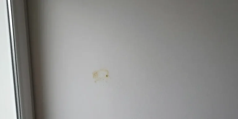 peinture anti-humidité et moisissures